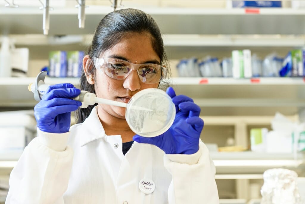 Photo: Molugu in blue gloves and white coat aiming pipette at lab dish