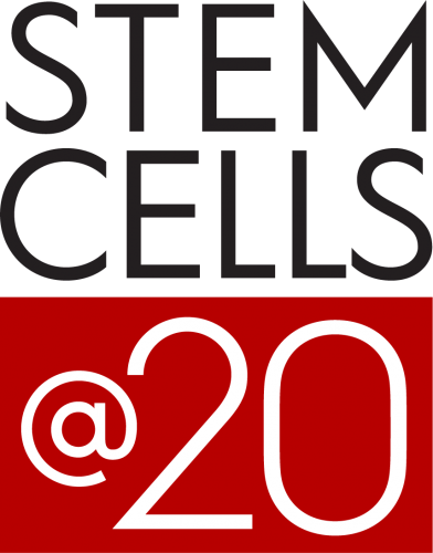 Graphic: The words "STEM CELLS @20"