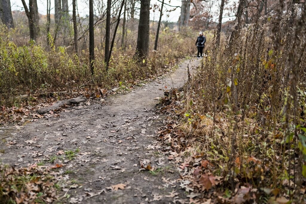 Photo of visitors walking a trail.