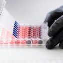 Angie Xie, graduate student at the University of Wisconsin-Madison, works with stem cells in a lab in Wisconsin Institutes for Medical Research (WIMR) on Oct. 25, 2018. (Photo by Bryce Richter /UW-Madison)