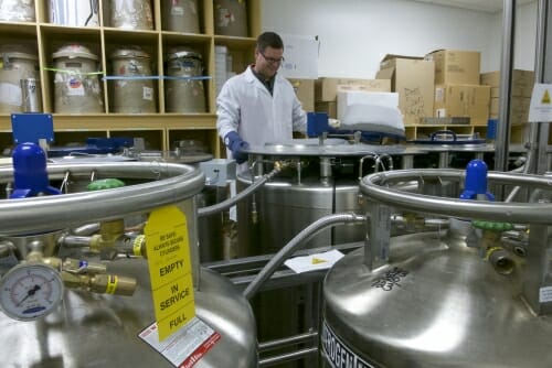 Photo: Dan Felker in the WiCell storage room.