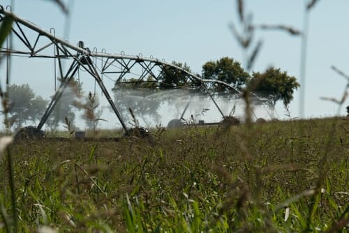 Photo: Irrigator releasing water