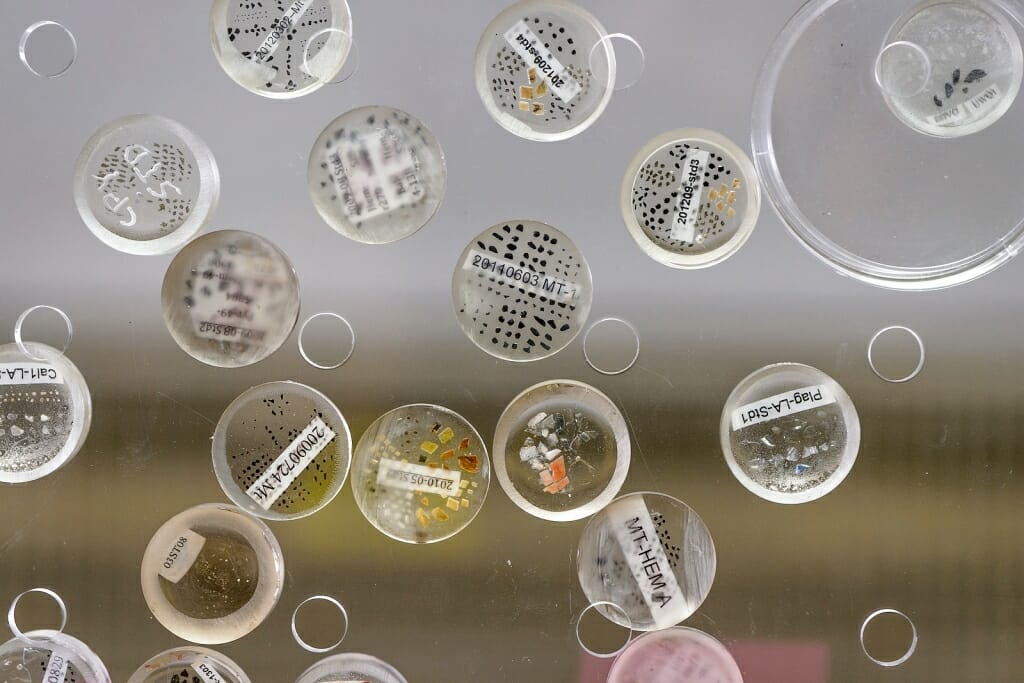 Photo: Clear dishes of rock samples