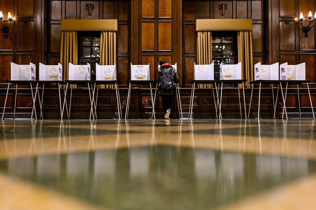 Photo: Row of voting booths with one person filling out ballot