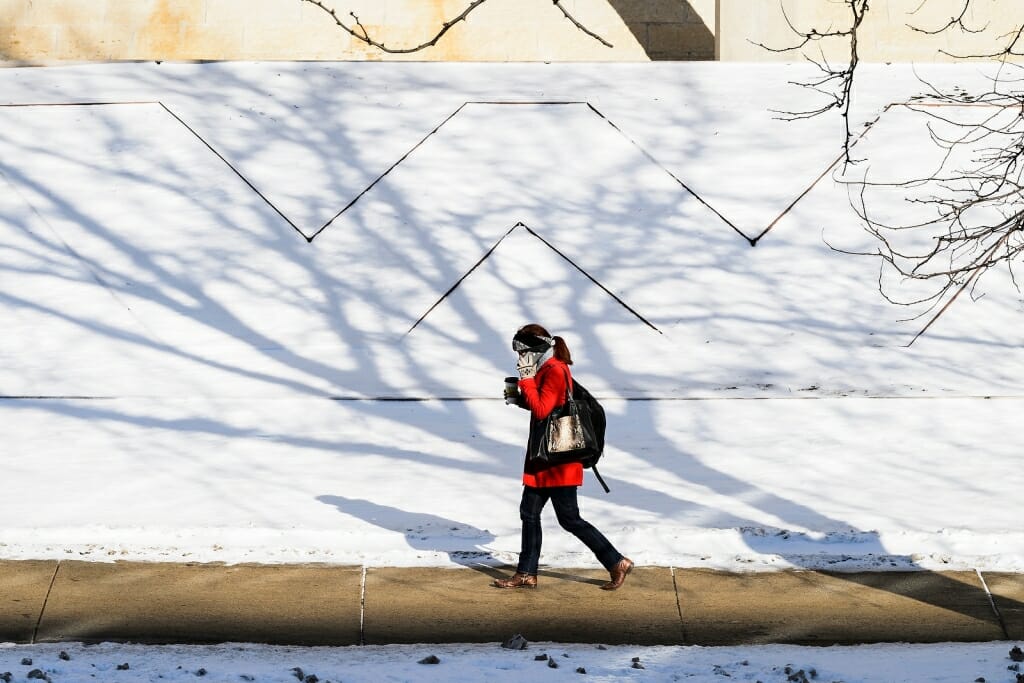 Photo: Person walking past snow-covered flowerbed