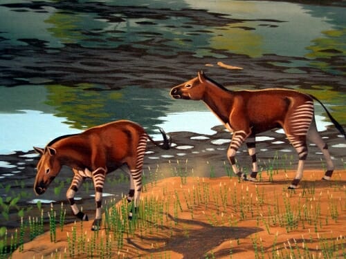 Illustration: Early horses grazing near a body of water