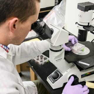 Photo: Petersen looking through a microscope