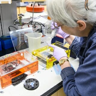 Photo: Soref working at lab bench