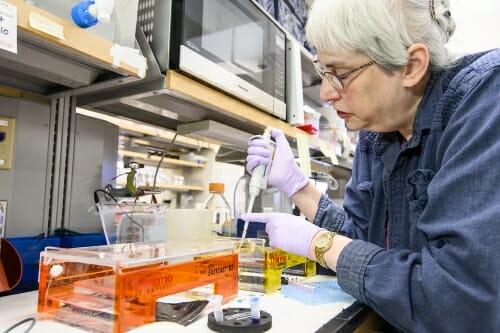 Photo: Cheryl Soref with pipette at lab bench