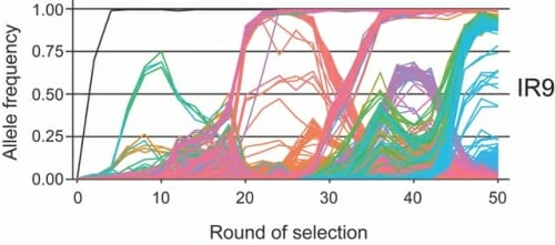 Graphic: Multi colored lines on a wave graph.