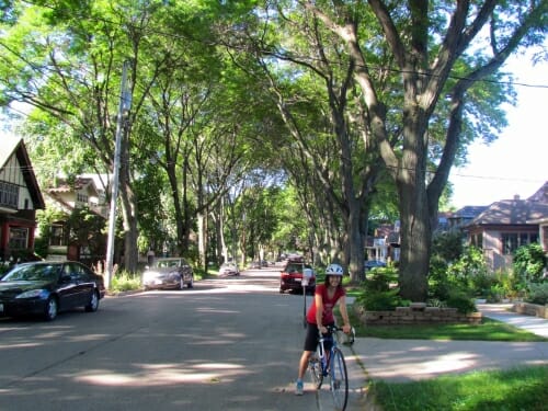 A woman pauses on her bike on a tree lined street.