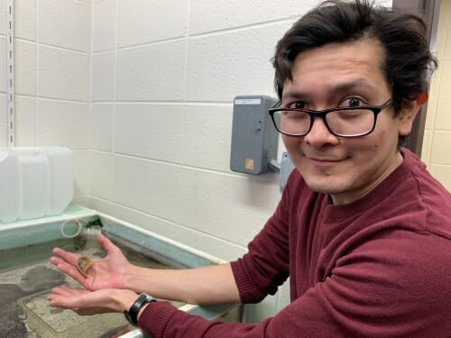 Photo: Bellesteros holding horseshoe crab in his hands