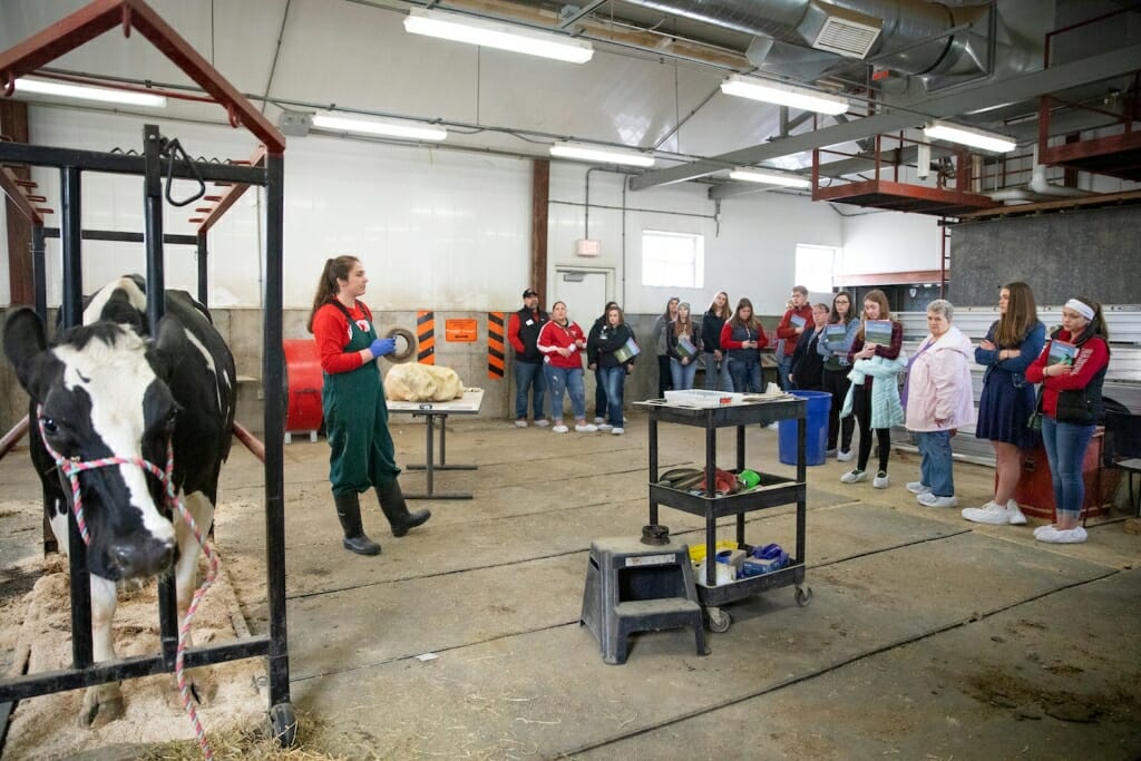 Photo: In a cattle barn with cow visible, an instructor talks to about a dozen students.