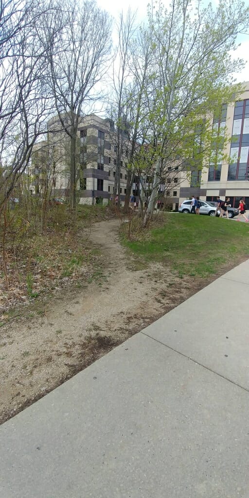 A large desire path, turned to gravel, links two sidewalks in front of Grainger Hall. 