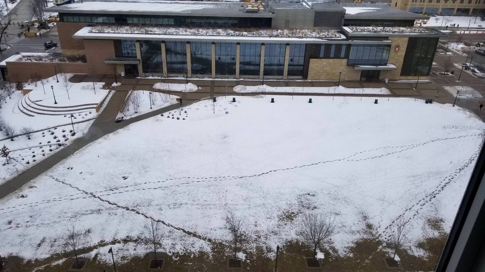 Several desire paths run across the lawn in front of Gordon Avenue Market.