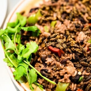 Photo: A dish of rice, beans and crickets.