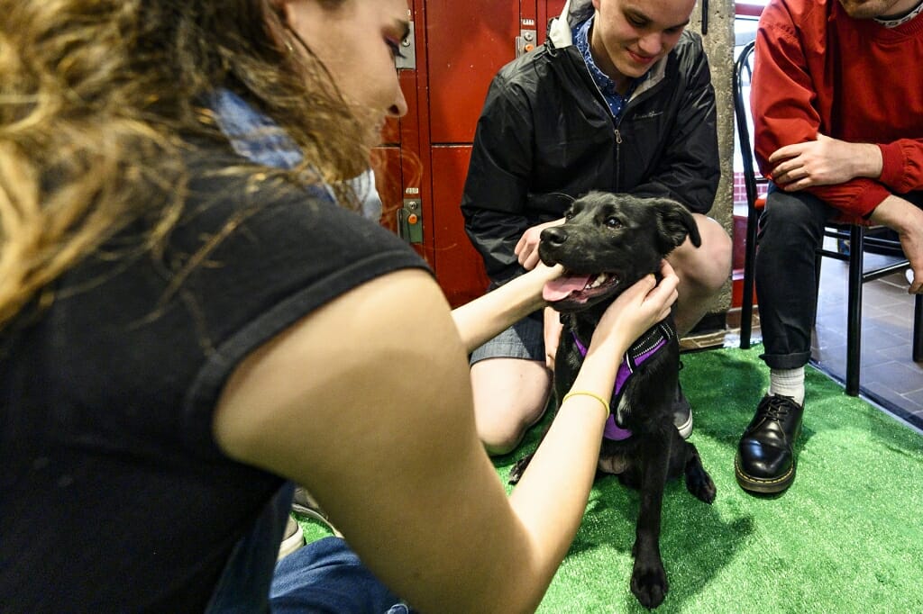 Photo: A woman pets a dog.