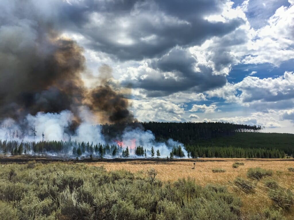 Photo: Fire burning trees