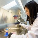 Person working with test tubes at a lab bench