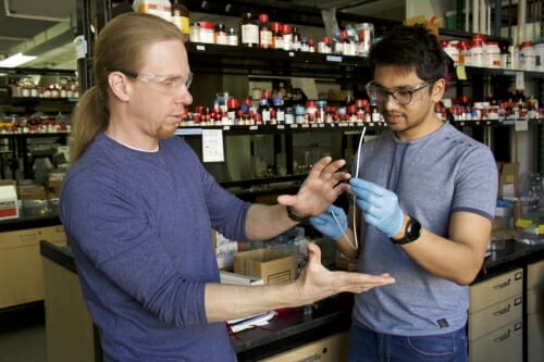 Photo: David Lynn and Harshit Agarwal looking at catheter