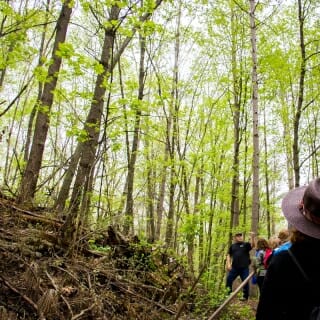 Photo: Bill leading participants walking on trail