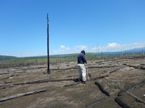 Photo: A man measures something in a landscape in Yellowstone National Park.