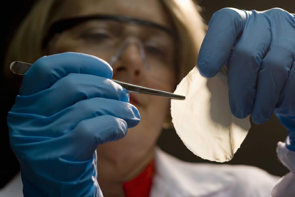 Photo: Hoffman holding material in tweezers