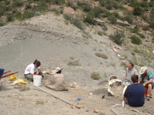 Photo: A man digs in the dirt in Wyoming.