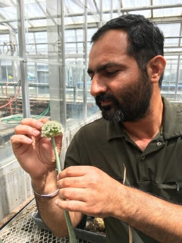 Image: A man inspects a flower.