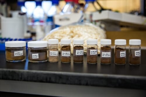 Photo: About 8 glass bottles filled with different materials are lined up.