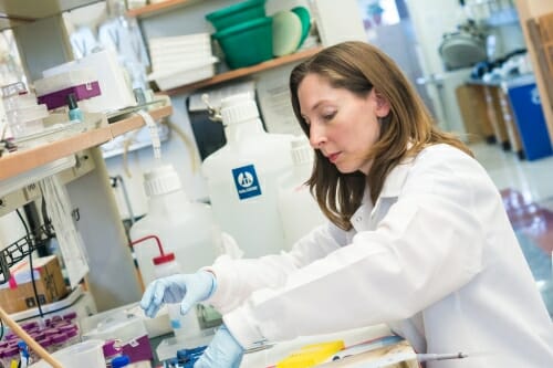 Photo: Beth Weaver working at lab bench