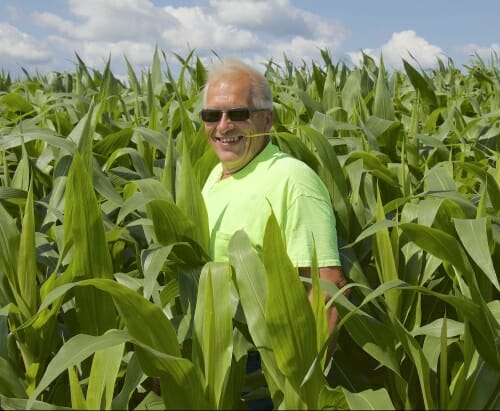 Photo: Jack standing in cornfield