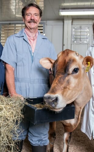 Photo: A man is shown with a cow.