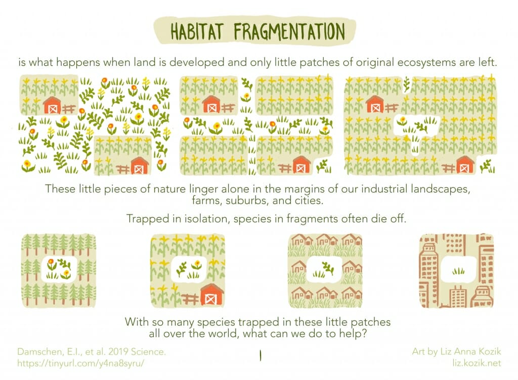 Illustration: Diagrams of research project