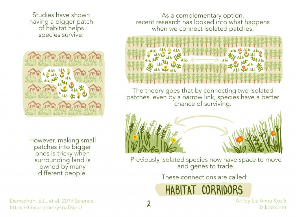 Illustration: Diagrams of research project