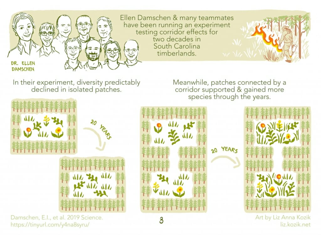 Illustration: Diagrams of research project