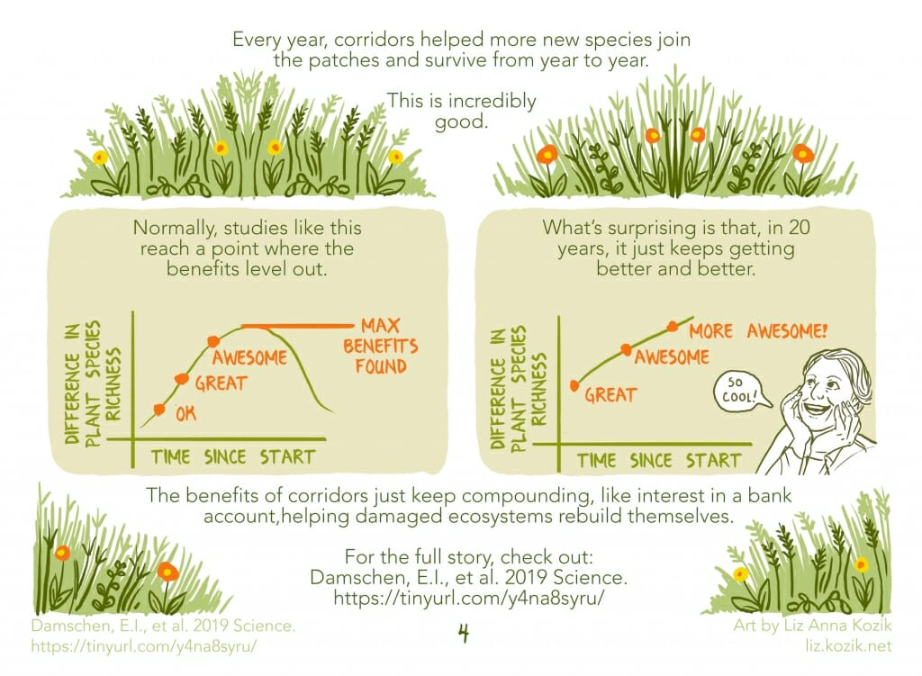 Illustration: Diagrams of research project