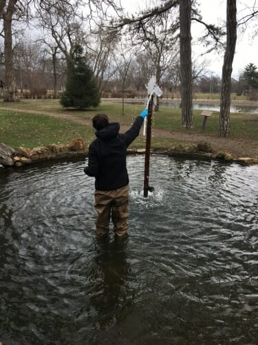 Photo: Man standing in pond