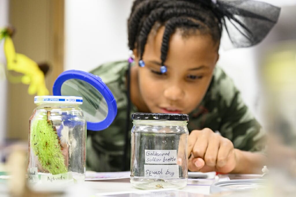 Photo: A boy looks at a beetle inside a glass jar.