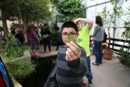 Photo: Child holding leaf