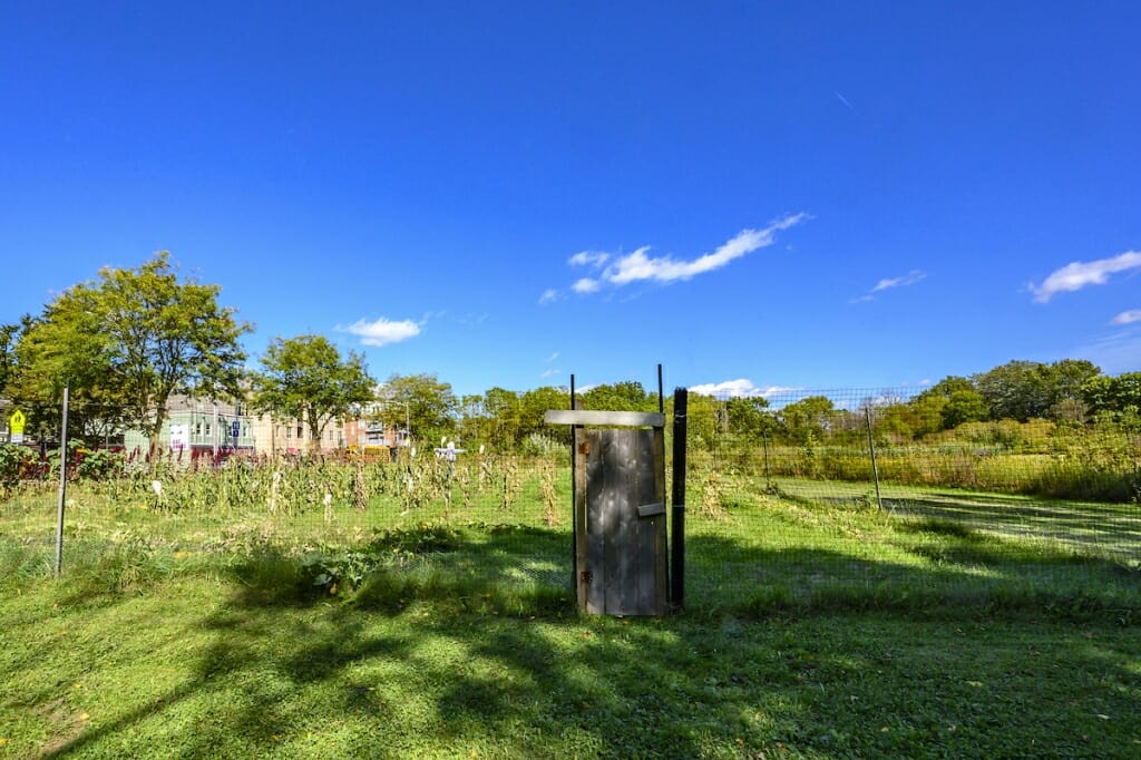 Photo: An overall look at the garden surrounded by a fence.