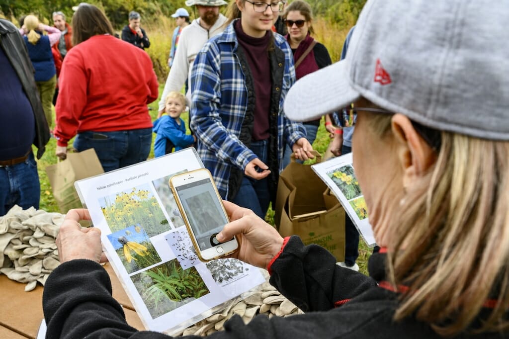 Photo: Person holding cellphone camera up to picture of plants