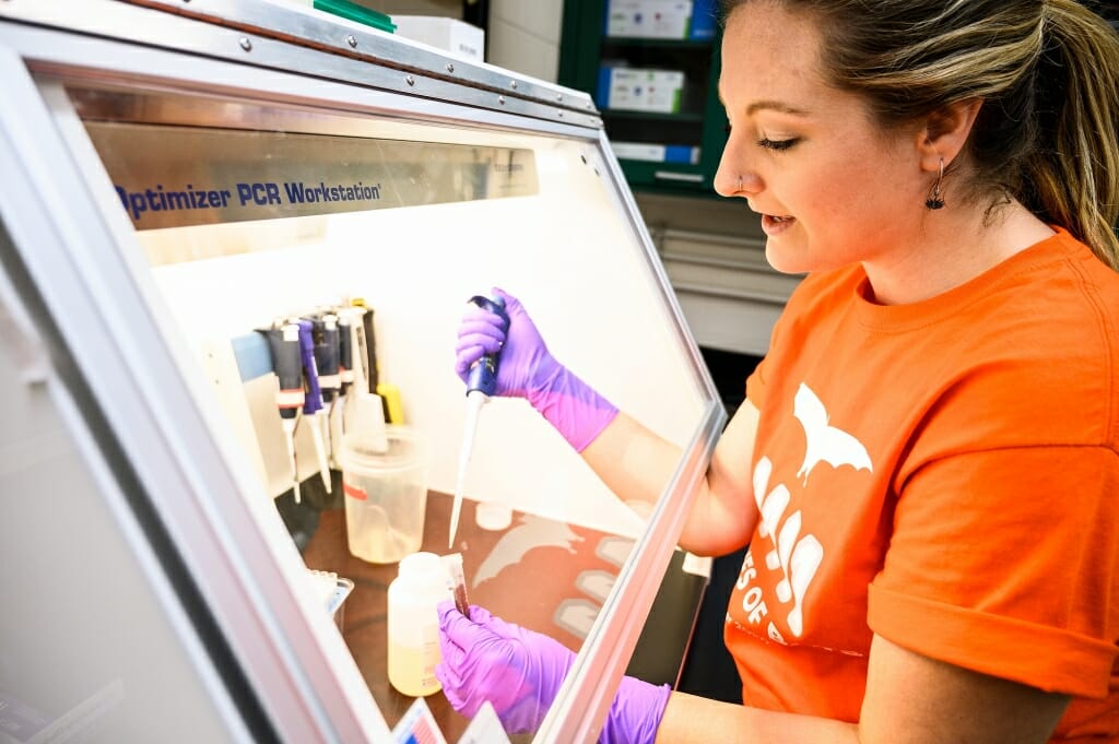 Photo: Wray at a lab hood with pipette