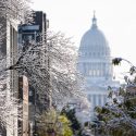 Photo: The Capitol dome framed by snow covered branches.