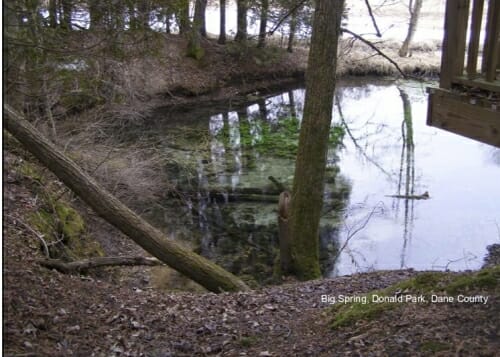 Photo: A spring in the woods.