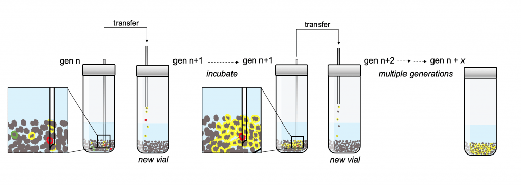 Photo: A graphic showing the laboratory setup.