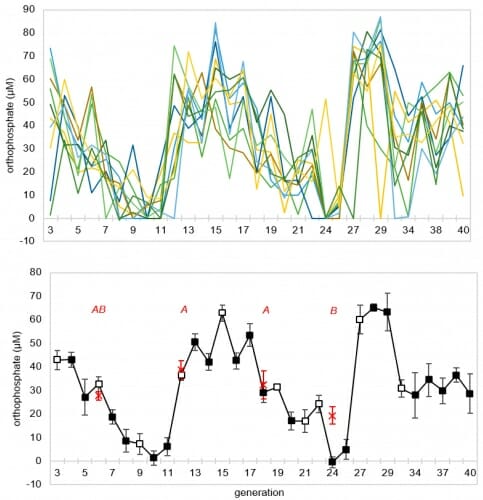 A chart shows a series of lines going up and down repeatedly.