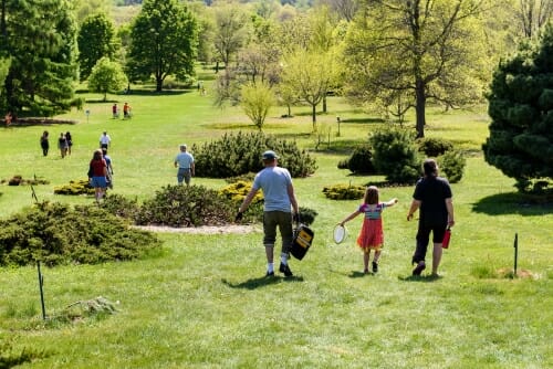 Photo: A sunny, tree filled garden, with visitors strolling on it.