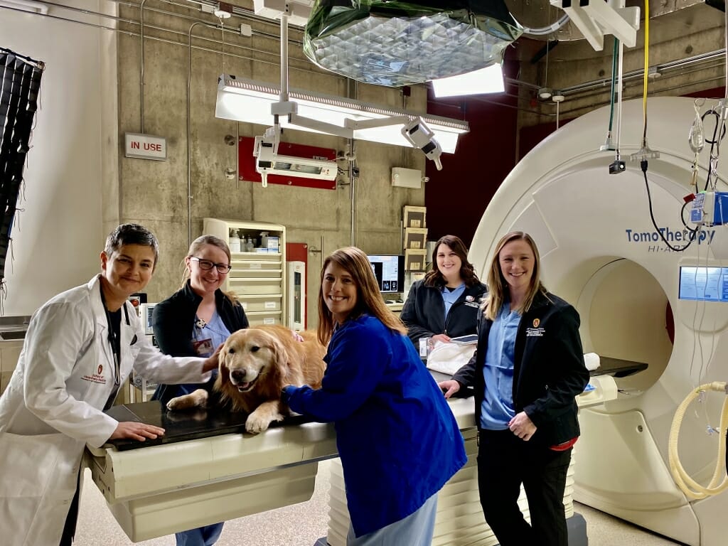 Photo: Scout on examining table surrounded by veterinary technicians