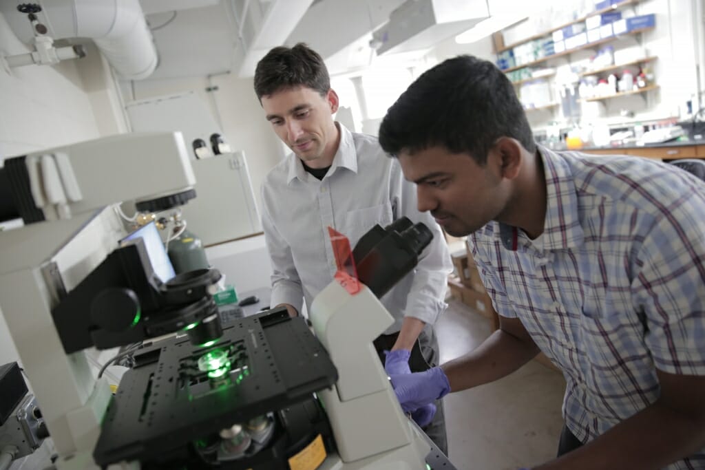 Photo: Two researchers wearing white coats work in a lab.